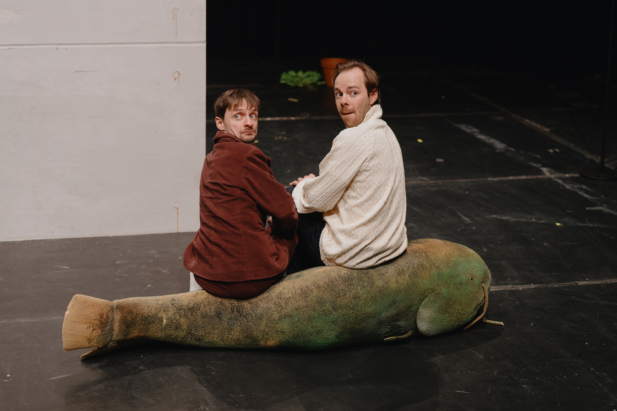 DSC 0920 20241218 DxO DeepPRIME XD2s